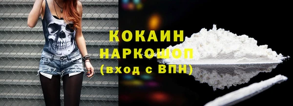 индика Новокубанск