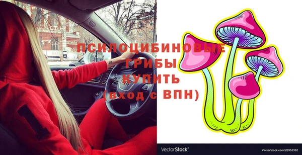 герыч Новодвинск