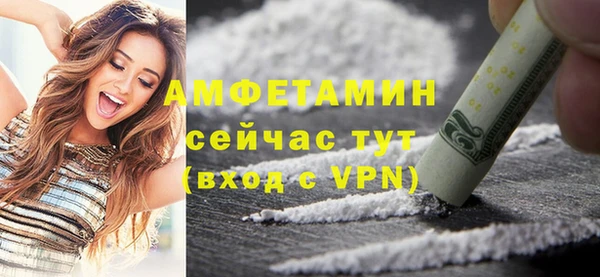 индика Новокубанск