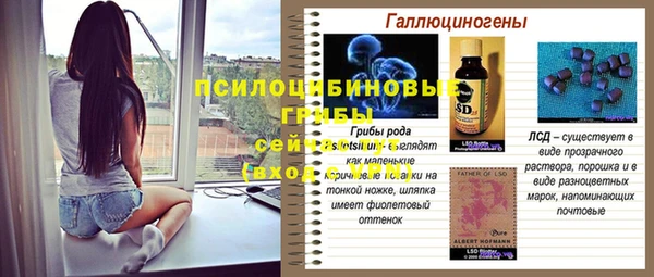 индика Новокубанск