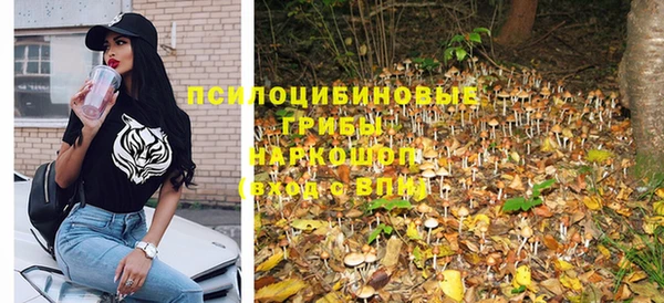герыч Новодвинск