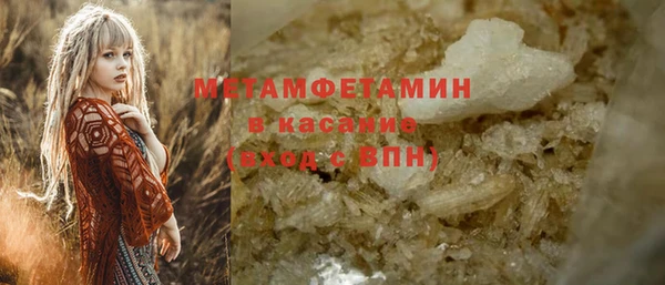 индика Новокубанск
