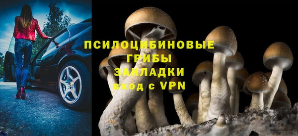 герыч Новодвинск