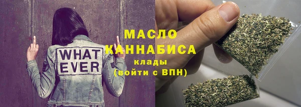 индика Новокубанск