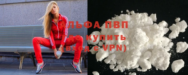 индика Новокубанск