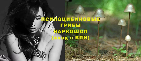 амф Няндома